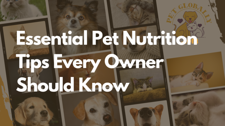 Essential Pet Nutrition Tips Every Owner Should Know